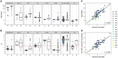 Pangenome-level analysis of nucleoid-associated proteins in the Acidithiobacillia class: insights into their functional roles in mobile genetic elements biology